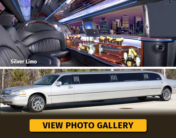 Silver Stretch Limo